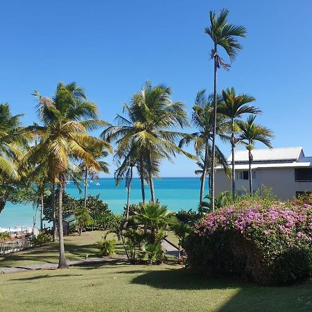 Grand Studio De 41 M², Vue Mer Et Jardin Tropical. Le Gosier  Exteriör bild