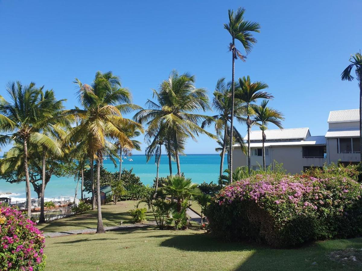 Grand Studio De 41 M², Vue Mer Et Jardin Tropical. Le Gosier  Exteriör bild