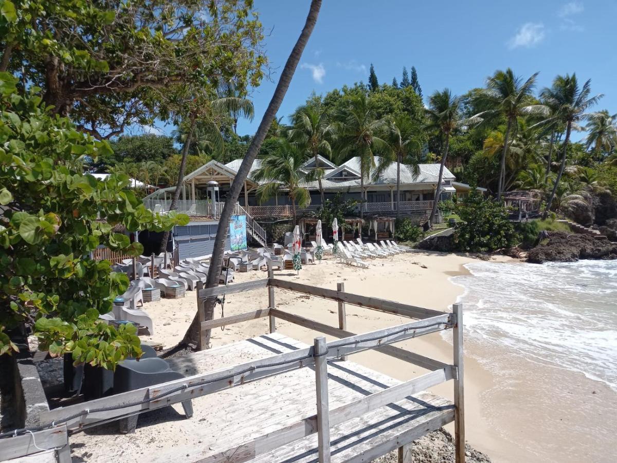 Grand Studio De 41 M², Vue Mer Et Jardin Tropical. Le Gosier  Exteriör bild