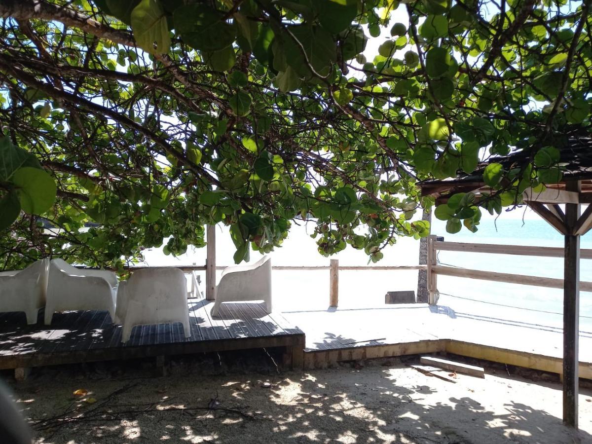 Grand Studio De 41 M², Vue Mer Et Jardin Tropical. Le Gosier  Exteriör bild