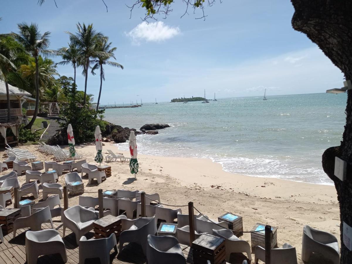 Grand Studio De 41 M², Vue Mer Et Jardin Tropical. Le Gosier  Exteriör bild