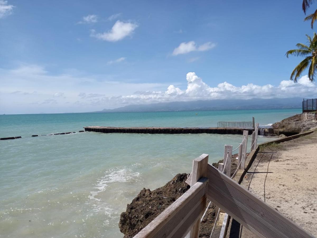 Grand Studio De 41 M², Vue Mer Et Jardin Tropical. Le Gosier  Exteriör bild