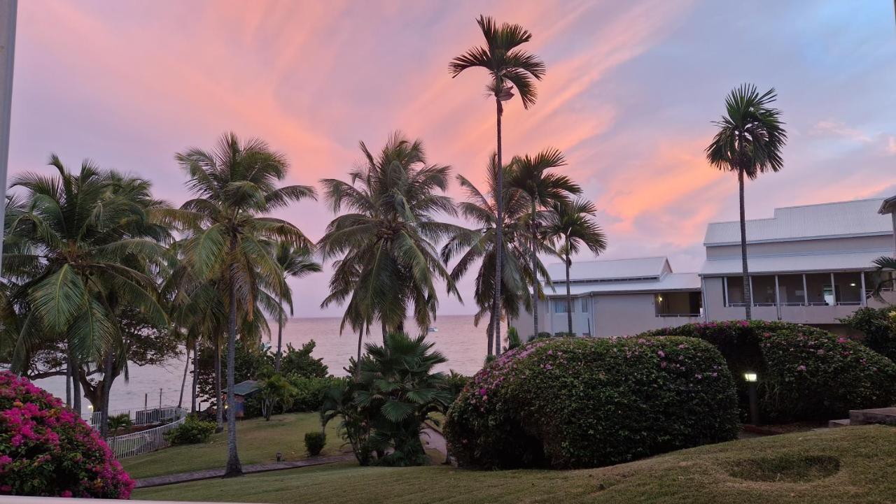 Grand Studio De 41 M², Vue Mer Et Jardin Tropical. Le Gosier  Exteriör bild